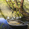 Morning Mists Photograph by Debra and Dave Vanderlaan Morning Mists Photograph by Debra and Dave Vanderlaan