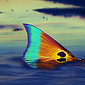 Morning Stroll Digital Art by Kevin Putman Morning Stroll Digital Art by Kevin Putman