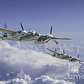 Mosquito Patrol Digital Art by Airpower Art Mosquito Patrol Digital Art by Airpower Art