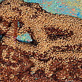 Mother Earth IV by Naomi Gerrard Mother Earth IV by Naomi Gerrard
