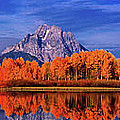 Mount Moran and fall color Grand Tetons Photograph by Dave Welling Mount Moran and fall color Grand Tetons Photograph by Dave Welling