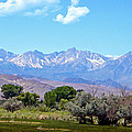 Mountain Valley Photograph by Frank Wilson Mountain Valley Photograph by Frank Wilson