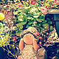Mrs Hedgie Photograph by Spikey Mouse Photography Mrs Hedgie Photograph by Spikey Mouse Photography
