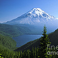 Mt. Saint Helens Photograph by Thomas & Pat Leeson Mt. Saint Helens Photograph by Thomas & Pat Leeson