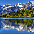 Mt. Timpanogos Reflected in Silver Flat Reservoir - Utah Photograph by Gary Whitton Mt. Timpanogos Reflected in Silver Flat Reservoir - Utah Photograph by Gary Whitton