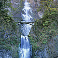 Multnomah Falls Columbia River Gorge Photograph by Dave Welling Multnomah Falls Columbia River Gorge Photograph by Dave Welling