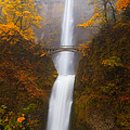 Multnomah Morning Photograph by Darren White Multnomah Morning Photograph by Darren White