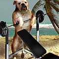 Muscle boy Boxer lifting weights by Regina Femrite Muscle boy Boxer lifting weights by Regina Femrite