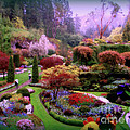 Must Be Heaven Photograph by Micki Findlay Must Be Heaven Photograph by Micki Findlay