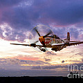 Mustang Scramble Digital Art by Airpower Art Mustang Scramble Digital Art by Airpower Art