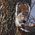 My Nut by Christopher Reid
