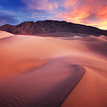 Mysterious Mesquite Photograph by Darren White Mysterious Mesquite Photograph by Darren White