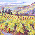 Napa Valley Vineyards Painting by David Lloyd Glover Napa Valley Vineyards Painting by David Lloyd Glover