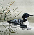 Nature's Serenity Painting by James Williamson Nature's Serenity Painting by James Williamson
