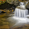 Natures Stream by Susan Candelario Natures Stream by Susan Candelario