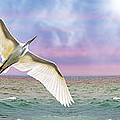Nautical Fantasy Photograph by Kathy Baccari Nautical Fantasy Photograph by Kathy Baccari