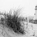 New Buffalo Michigan Lighthouse and Beach Grass Photograph by Paul Velgos New Buffalo Michigan Lighthouse and Beach Grass Photograph by Paul Velgos