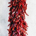 New Mexico Red Chile Art by Barbara Chichester