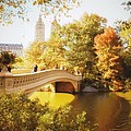 New York Autumn - Central Park - Bow Bridge by Vivienne Gucwa New York Autumn - Central Park - Bow Bridge by Vivienne Gucwa