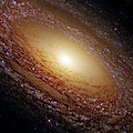 Ngc 2841 Photograph by Ricky Barnard Ngc 2841 Photograph by Ricky Barnard