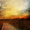 Night Falls Photograph by Scott Norris Night Falls Photograph by Scott Norris