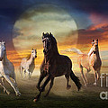 Night Play Photograph by Melinda Hughes-Berland