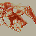 North American Minotaur Red Sketch by Derrick Higgins North American Minotaur Red Sketch by Derrick Higgins