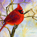 Northern Cardinal Painting by Hailey E Herrera Northern Cardinal Painting by Hailey E Herrera