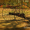 Old Rusty Hay Rake Photograph by Kathy Baccari Old Rusty Hay Rake Photograph by Kathy Baccari