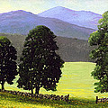 Old Wall Old Maples Painting by Frank Wilson