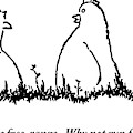 One Chicken Speaks To Several Others On A Patch Drawing by Michael Shaw