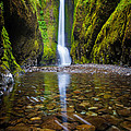 Oneonta Falls Photograph by Inge Johnsson Oneonta Falls Photograph by Inge Johnsson