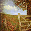 Open Country Gate by Amanda Elwell Open Country Gate by Amanda Elwell