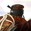 Open Range Saddle Photograph by Amanda Smith Open Range Saddle Photograph by Amanda Smith