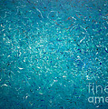 Opt.9.15 Since I Fell For You Painting by Derek Kaplan Opt.9.15 Since I Fell For You Painting by Derek Kaplan