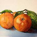 Orange by Diane Ziemski