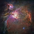 Orion Nebula Photograph by Sebastian Musial Orion Nebula Photograph by Sebastian Musial
