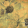 Ornamental Thistle Flower by Heiko Koehrer-Wagner Ornamental Thistle Flower by Heiko Koehrer-Wagner