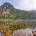 Out of the Mist Photograph by Robert Charity Out of the Mist Photograph by Robert Charity