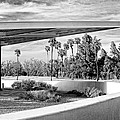 OVERHANG BW Palm Springs by William Dey OVERHANG BW Palm Springs by William Dey