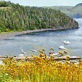 Overlooking the Harbor by Jeffrey Kolker Overlooking the Harbor by Jeffrey Kolker