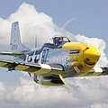 P51 Ferocious Frankie Digital Art by Pat Speirs P51 Ferocious Frankie Digital Art by Pat Speirs