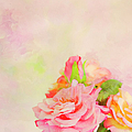 Painterly Roses Photograph by Theresa Tahara Painterly Roses Photograph by Theresa Tahara