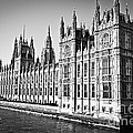 Palace Of Westminster by Elena Elisseeva Palace Of Westminster by Elena Elisseeva