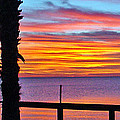 Palm Sunset by Norman Johnson Palm Sunset by Norman Johnson