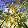 Palm Trees of Aruba Painting by David Letts Palm Trees of Aruba Painting by David Letts
