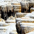 Pamukkale Terraces by Apurva Madia Pamukkale Terraces by Apurva Madia