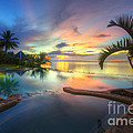 Panglao Island Nature Resort Photograph by Yhun Suarez Panglao Island Nature Resort Photograph by Yhun Suarez