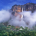 Panorama Angel Falls Canaima National Park Veneziuela Photograph by Dave Welling Panorama Angel Falls Canaima National Park Veneziuela Photograph by Dave Welling