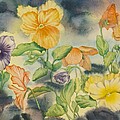 Pansies by Heather Gallup Pansies by Heather Gallup